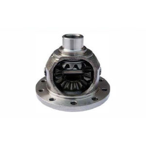 SMPL Case Diff. Assembly suitable for Indica, Indigo