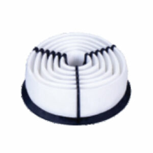 Zip Air Filter suitable for Esteem Type 2