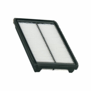 Zip Air Filter suitable for Santro Xing ERLX (Plastic)
