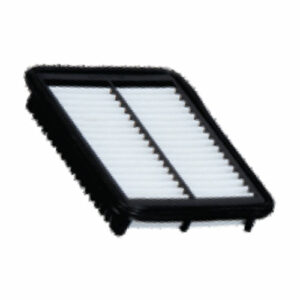 Zip Air Filter suitable for Eon