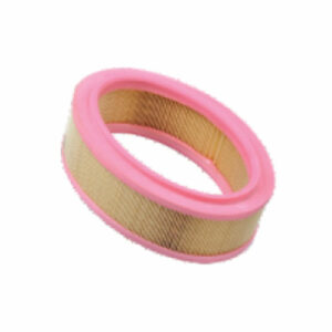 Zip Air Filter suitable for Logan Petrol