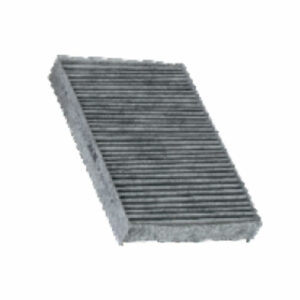 Zip Carbon Cabin Filter suitable for Fluence, Scala