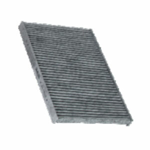 Zip Carbon Cabin Filter suitable for Koleos