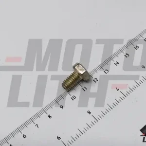SCREW HEX M6 x 1 - 10