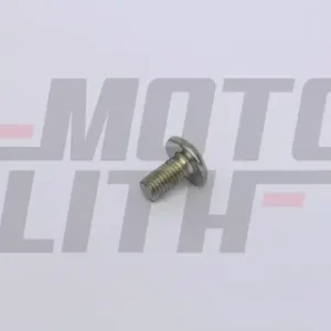 PIVOT SCREW (ADJUSTING ARM)