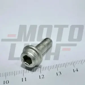 BOLT,M6