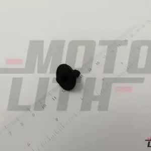CLIP