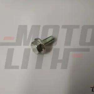 BOLT,TIMING CHAIN GUIDE