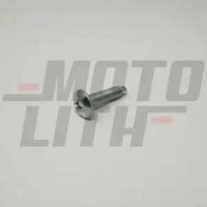 SCREW RND HD CS REC M6X1X25X6.6XG