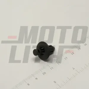CLIP(GRAY)