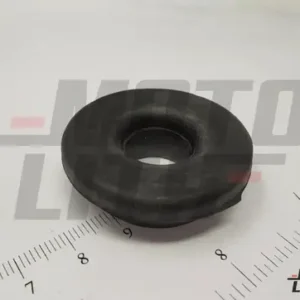 RUBBER BUSH