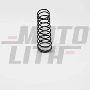 SPRING, 1ST & 2ND SELECT