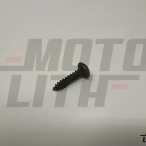 TAP SCR C-ST4.8X19 TS17245 SS8457S1-BL-B