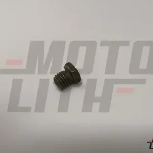 SCREW HEX M5X0.8X5.5X8.8XZN