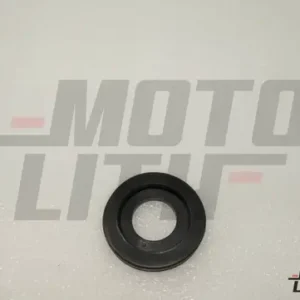 ESCUTCHON, REGULATOR HANDLE