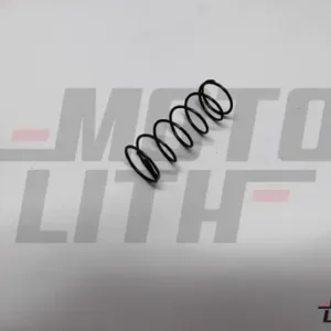 SPRING-WHEEL CYLINDER