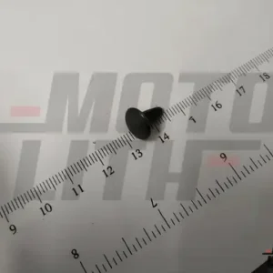 CLIP