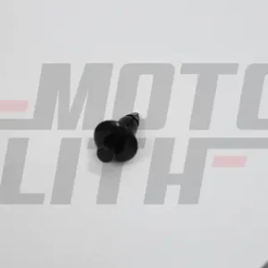 CLIP