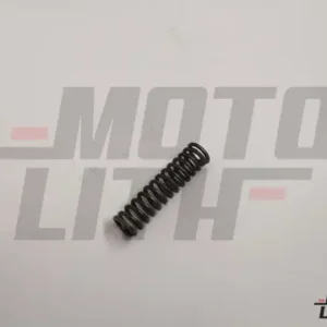 COIL SPRING REVERSE