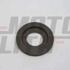 ESCUTCHEON, WINDOW RGLTR HANDLE