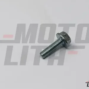 SCREW HEX FL M6 x 1 - 20