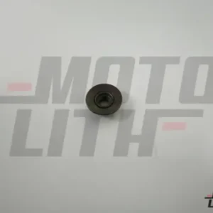 NUT BACK DOOR SPOILER