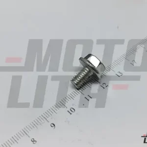 SCREW HEX FL M6 x 1 - 10