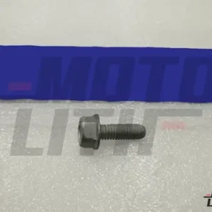 BOLT