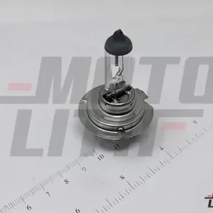 H7 Halogen Bulb 12V 80W (Single Bulb)