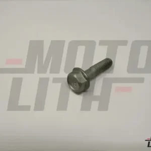BOLT