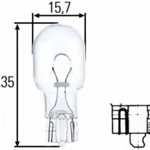 Bulb