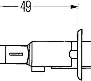 Bulb