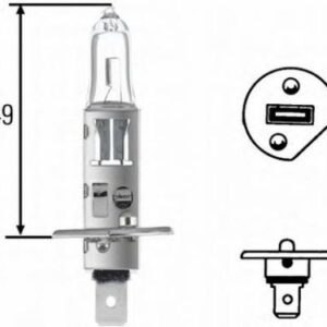 Bulb