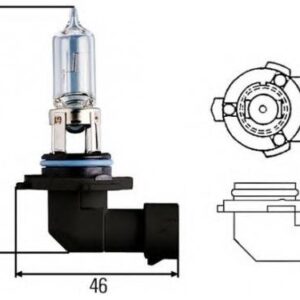 Bulb