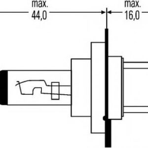 Bulb