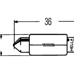 Bulb