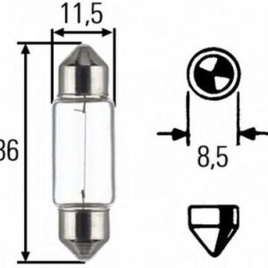 Bulb