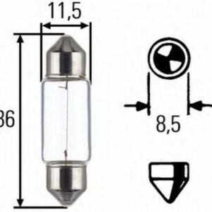 Bulb