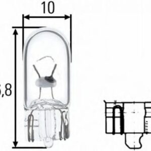 Bulb