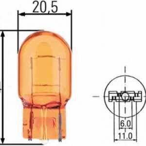 Bulb