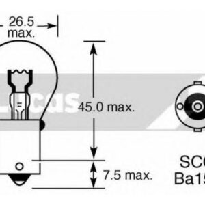 Bulb