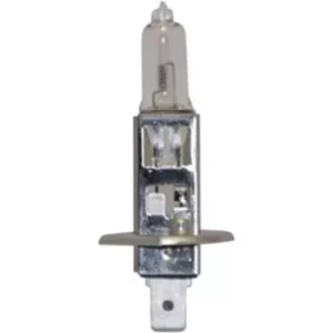 H1 Halogen Bulb 24V 70W (Single Bulb)