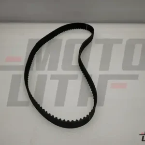 NOTCHED BELT