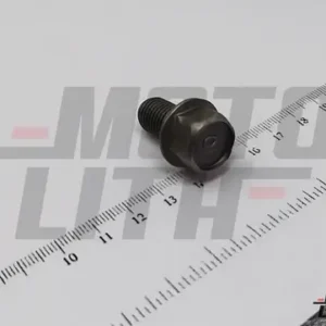 BOLT