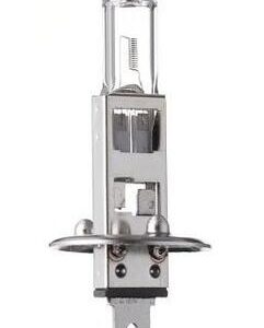Bulb