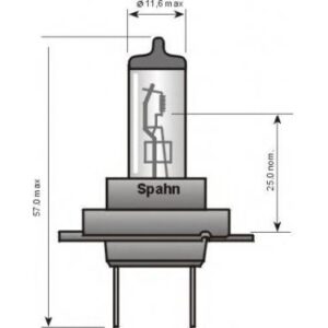 Bulb