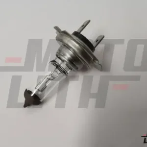H7 Halogen Bulb 12V 55W (Single Bulb)
