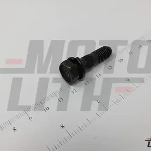 BOLT