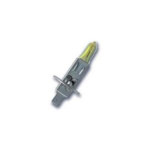 Bulb