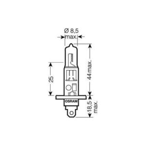 Bulb
